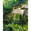 Bvlgari Man Wood Essence парфумована вода 100 ml - мініатюра 3