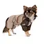 Дощовик Pet Fashion Mustang для собак розмір S - мініатюра 2