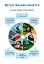 Здоров’я, безпека та добробут. Підручник. 5 клас - миниатюра 7