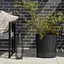 Вазон Lamela Aura с подставкой 23х24 см черный бетон (9711253) - миниатюра 3