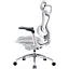 Крісло офісне Sihoo Doro C300 Pro Mesh White (DORO-C300-PRO-M102) - мініатюра 3
