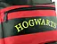 Рюкзак Harry Potter Hogwarts Гаррі Поттер Хогвартс Герб HP 6.016 - мініатюра 8