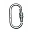 Карабин First Ascent Ovum Keylock (1060-FA 8007) - миниатюра 1