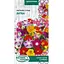 Насіння Квіткова суміш Витка Насіння України 1 г (804600) - мініатюра 1