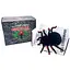 Паук на радиоуправлении SHT FY878 Tarantula 2.4G Black - миниатюра 6