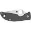 Ніж Spyderco Alcyone G-10 Grey - мініатюра 3