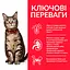 Сухий корм Hill's SP Adult для дорослих котів з куркою 1.5 кг - мініатюра 2
