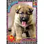 Дитячий пазл "Домашні улюбленці" G-Toys AN149 плакат 70 елементів - мініатюра 1