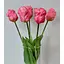 Тюльпани штучні Hvoya латексні махрові букет 5 квіток рожеві - мініатюра 5