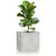 Кашпо Engard Оттава 28х28x28 см (GA67-1) - мініатюра 2