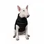 Жилет Pet Fashion Big Boss для собак, размер 4XL, черный - миниатюра 7