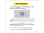 Просто про науку. Як ми з'являємося на світ - миниатюра 4