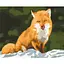 Картина по номерам Лисичка сестричка Brushme 40x50 см разноцветная 000277659 - миниатюра 1
