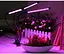 Ультрафиолетовая светодиодная фитолампа GrowLight для растений (3 лампы) с таймером - миниатюра 7