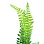 Искусственная ветвь Engard Папоротник 47 см (TW-46) - миниатюра 5