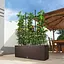 Вазон Lechuza Cottage Trio 40 мокко (15025) - миниатюра 3