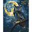 Картина за номерами Хранитель зоряного світла 11722-AC 40х50 см - мініатюра 1