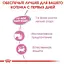 Влажный корм для котят до 4 месяцев Royal Canin Babycat Instinctive 2.34 кг (12 шт. х 195 г) - миниатюра 5
