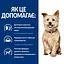 Сухий корм Hill's Prescription Diet k/d для собак для підтримання функції нирок з куркою 12 кг - мініатюра 5