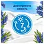 Кондиціонер для білизни Lenor Vacation Vibes Capri 1.239 л - мініатюра 4