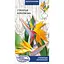 Насіння Стрелітція королівська Насіння України 0.5 г (763500) - мініатюра 1