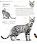 The Cat Encyclopedia - миниатюра 12