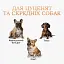 Туалет лоток під пелюшку для собак 60х90 ПУХНАСТЕ ЩАСТЯ сірий - мініатюра 3