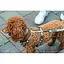 Шлея Trixie CityStyle H-harness для собак хлопок M-L 52-75 см 20 мм светло-серый - миниатюра 2