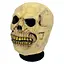 Маска Череп - миниатюра 1