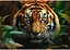 Пазл Trefl Дикий тигр 1000 ел. (10798) - мініатюра 2