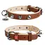 Нашийник для собак шкіряний Waudog Soft з QR-паспортом з шипами Ш 35 мм Д 57-71 см коричневий - мініатюра 1