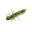 Силикон FishUP Dragonfly 1.7" #042 Watermelon Seed (8 шт/уп) - миниатюра 1
