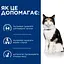 Сухий корм Hill's Prescription Diet y/d Thyroid Care для підтримки здоров'я щитоподібної залози, 3 кг - мініатюра 4
