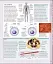 The Human Body Book - мініатюра 7