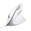 Миша Trust Verto Ergonomic White (25133) - мініатюра 1