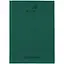 Щоденник шкільний Kite тверда обкладинка зелений (K26-262-13) - мініатюра 1