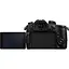 Бездзеркальний фотоапарат Panasonic Lumix DC-GH5 II Kit Leica DG Vario-Elmarit 12-60mm f/2.8-4 Black (DC-GH5M2LE) UA [134193] - мініатюра 8