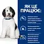 Сухий корм для собак Hill’s Prescription Diet c/d догляд за сечовидільною системою, з куркою, 12 кг - мініатюра 4