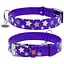 Ошейник для собак Waudog Glamour кожаный с QR паспортом, узор Звездочка, светящийся/светоотражающий, S, Ш 20 мм, Дл 30-39 см (4823089301310) - миниатюра 1