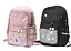 Рюкзак подростковый, 46x33x15 см, 3 отделения, прозрачный карман, R8813 (в ассортименте) - миниатюра 2