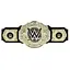 Золотой чемпионский пояс WWE World Heavyweight Championship (HYF18) - миниатюра 1