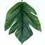 Искусственные листья Engard Monstera 56см (TW-48) - миниатюра 4
