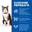 Сухий корм Hill's SP Adult Culinary Creations для дорослих котів, із лососем та морквою, 10 кг - мініатюра 2