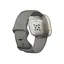 Смарт-годинник Fitbit Sense Silver Sage Grey (FB512SRSG) - мініатюра 3