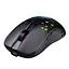 Мышь беспроводная игровая с аккумулятором и подсветкой 2.4 gHz HYSJ Т100 E-Sports Black - миниатюра 2