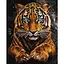 Картина по номерам "Дикий тигр" ©art_selena_ua KHO6812, 40x50 см - миниатюра 1