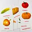 Картки міні Zirka Овочі 110х110 мм (286287) - мініатюра 2