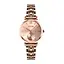 Skmei 9198RGRG-S Rose Gold - Rose Gold Lady - миниатюра 1