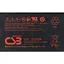 Акумулятор CSB AGM 12V (12V/100Ah/1200Wh) (HRL12330W) [112170] - мініатюра 3
