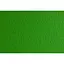 Бумага для дизайна Fabriano Elle Erre А4 (21x29.7см) №11 verde 220г/м2 зеленая две текстуры - миниатюра 1